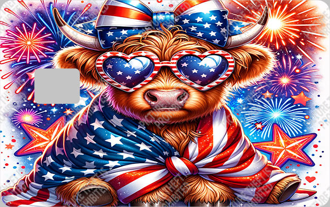 Bank  Card Sticker-BC-132